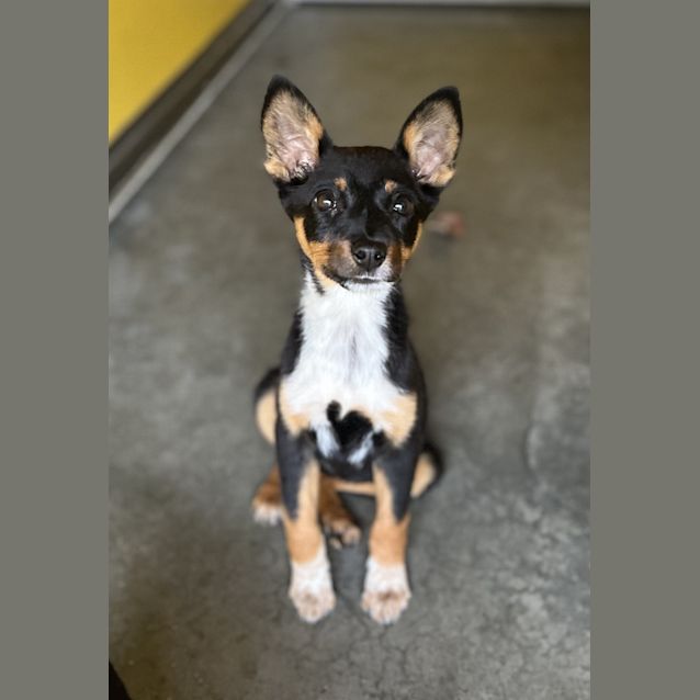 Photo of Marcy