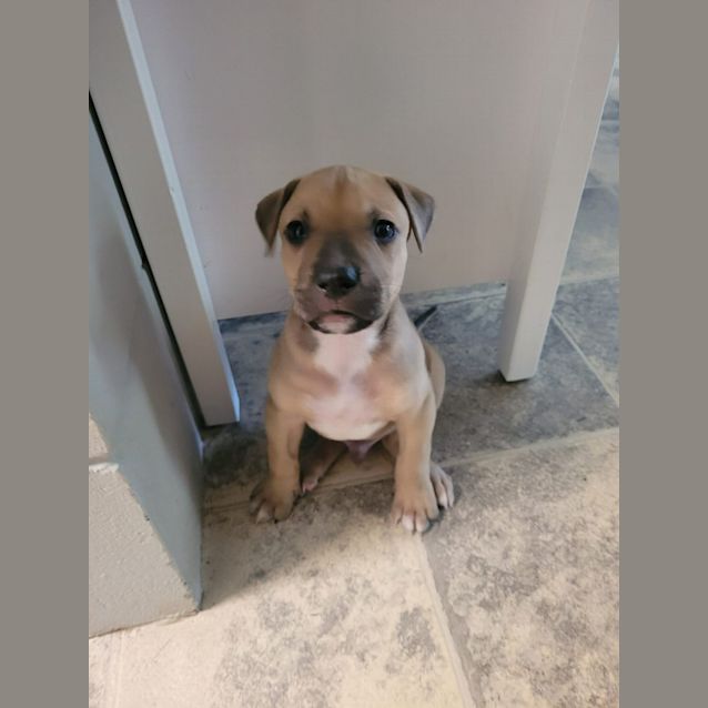 Photo of Bb