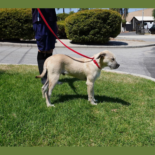 Photo of Spike