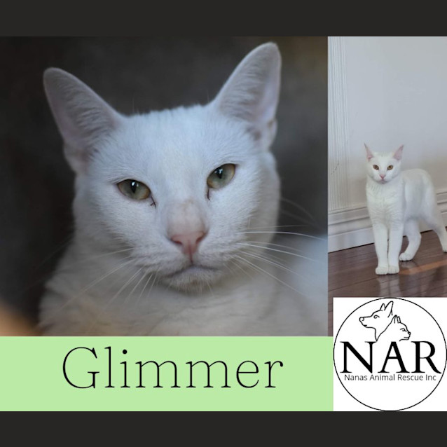 Photo of Glimmer 