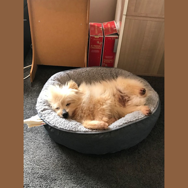 Photo of Jasper Nightingale