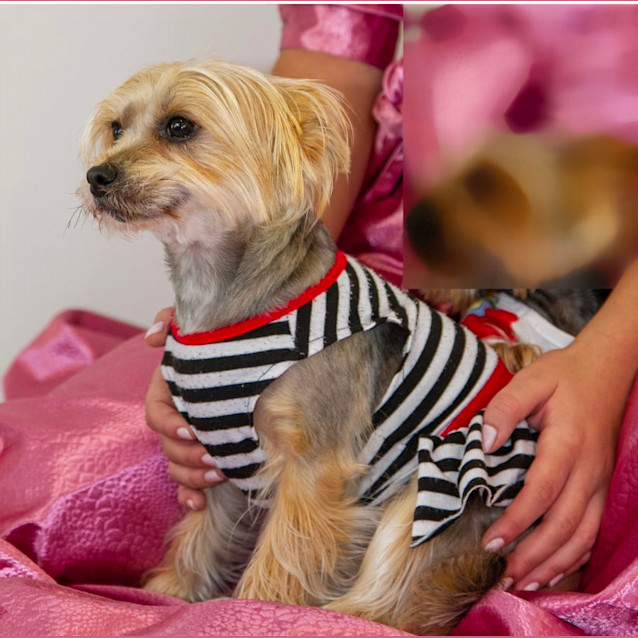 Photo of Busya Yarbury