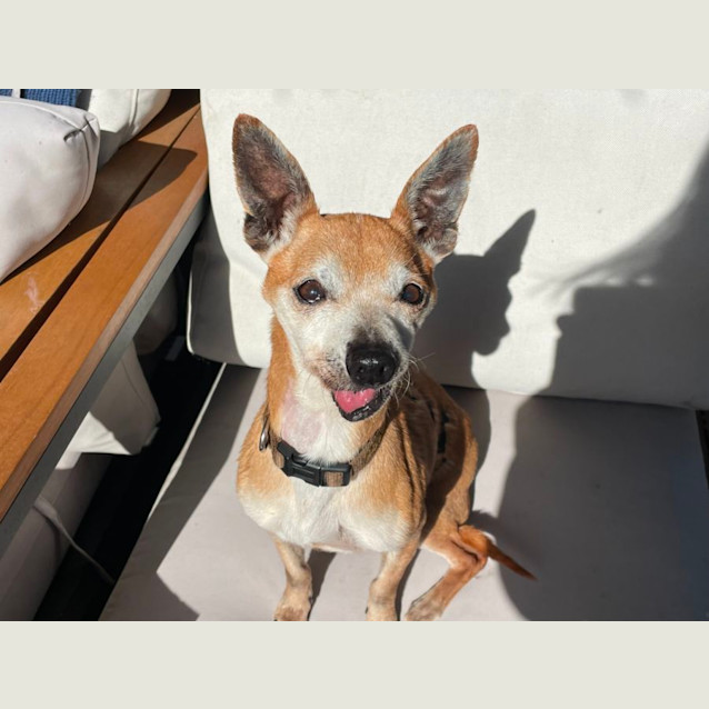 Photo of Riley Yarbury