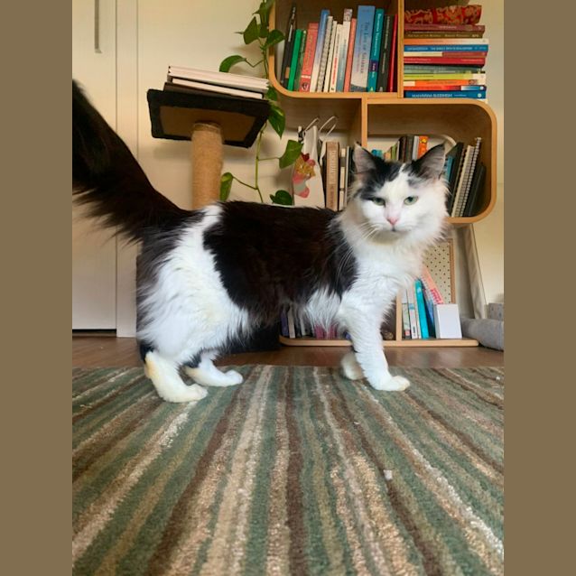 Photo of Peyton   Located In Clifton Hill