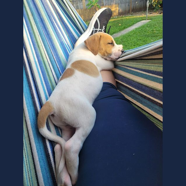 Photo of Whitey
