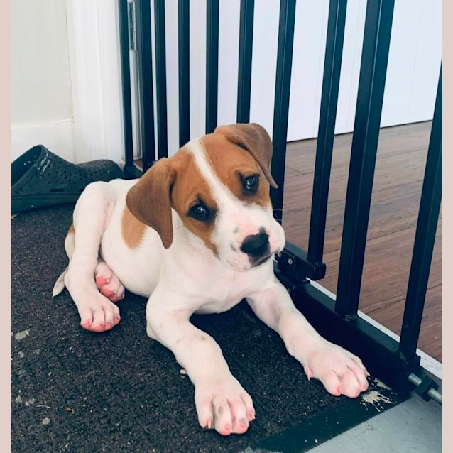 Photo of Whitey