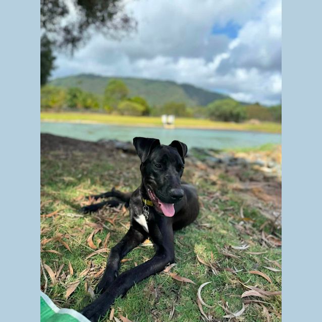 Photo of Fifi