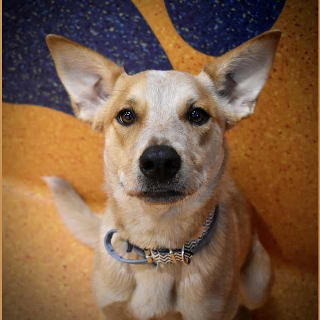 Photo of Addie