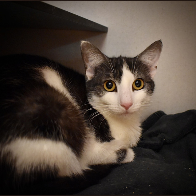 Photo of Missy