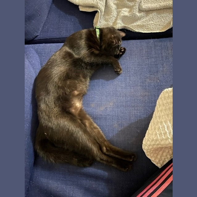 Photo of Star