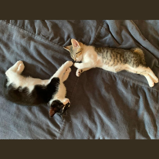 Photo of Vera And Leo
