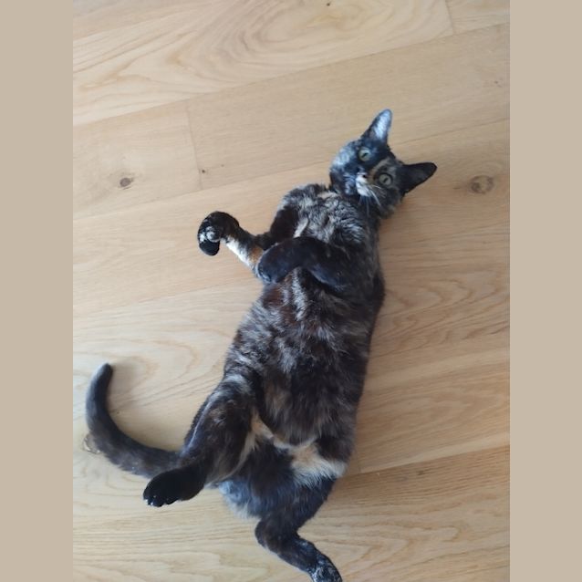 Photo of Millie