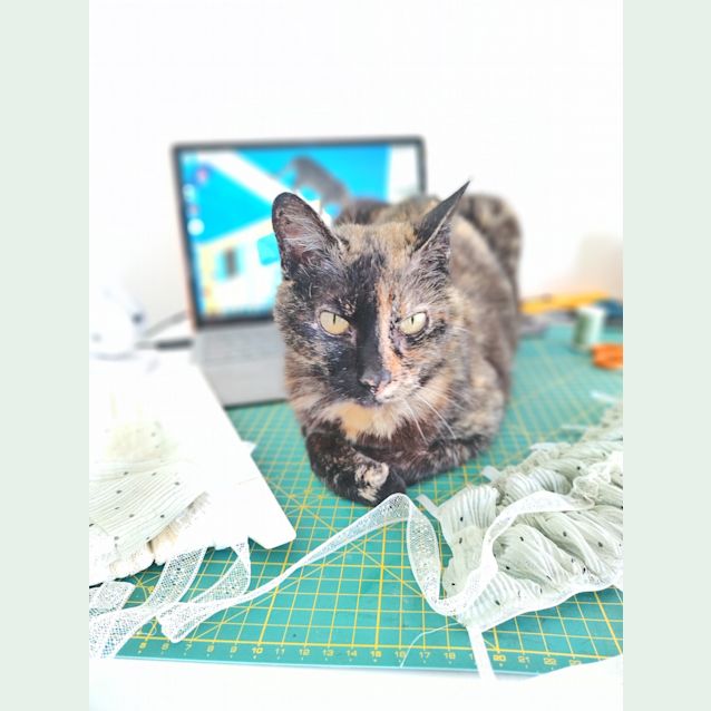 Photo of Millie