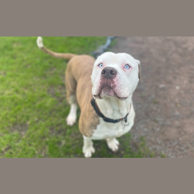 Photo of Roscoe
