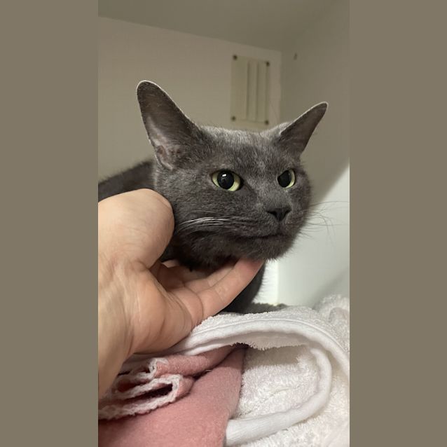 Photo of Marishka