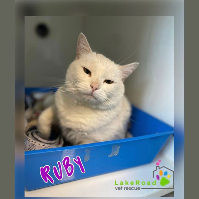 Photo of Ruby