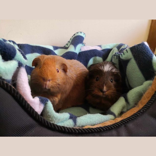 Photo of Marty / Eli