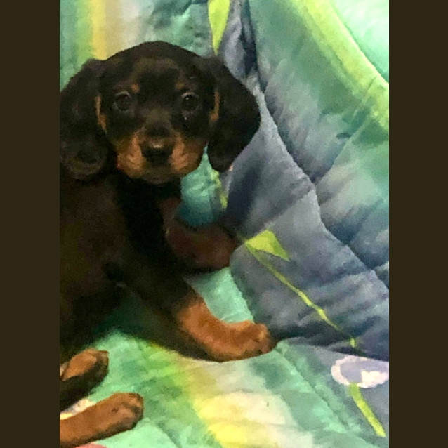 Photo of Charlotte