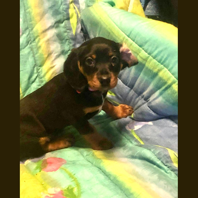 Photo of Fiona