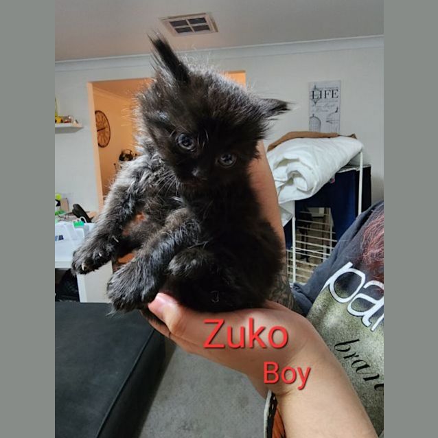Photo of Zuko