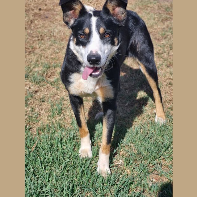 Photo of Suzie