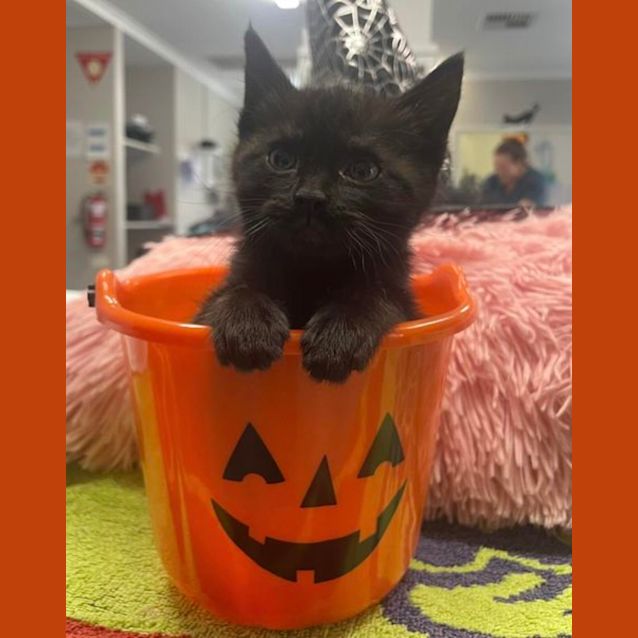 Photo of Monty, Larry & Joelene