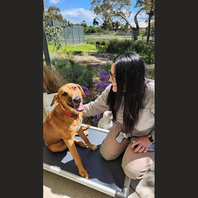 Photo of 🧨Texas C04620 🧨