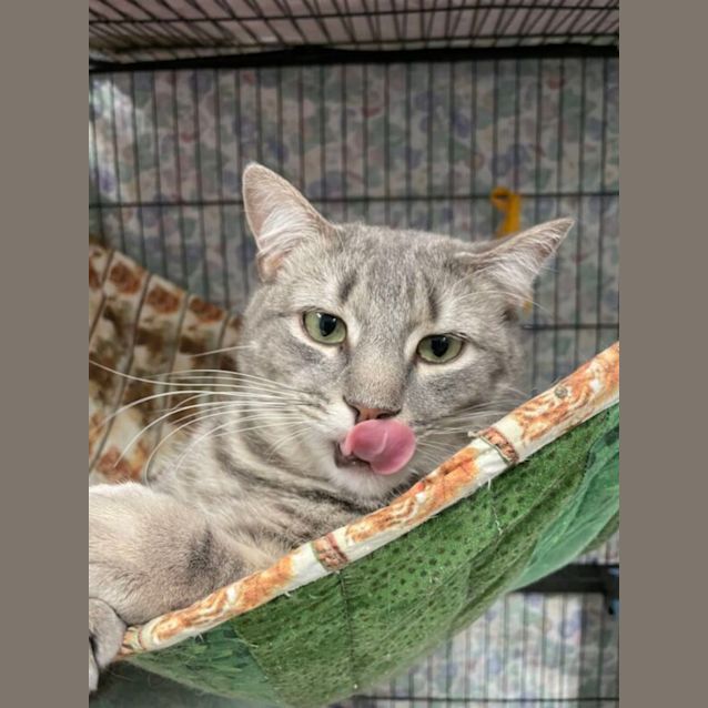 Photo of Arlo And Annie