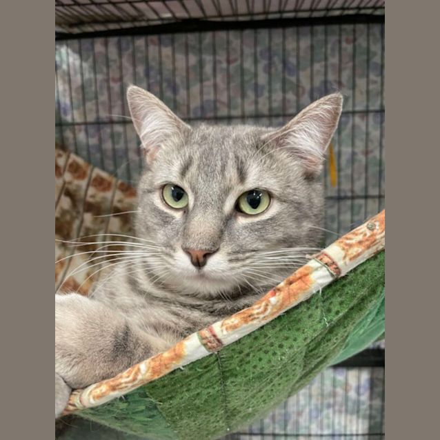 Photo of Arlo And Annie