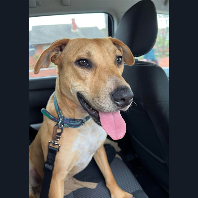 Photo of Lily 