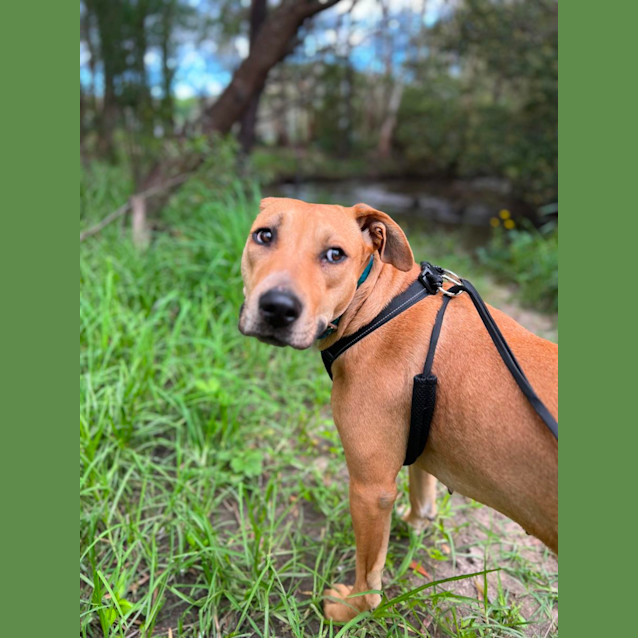 Photo of Lily 
