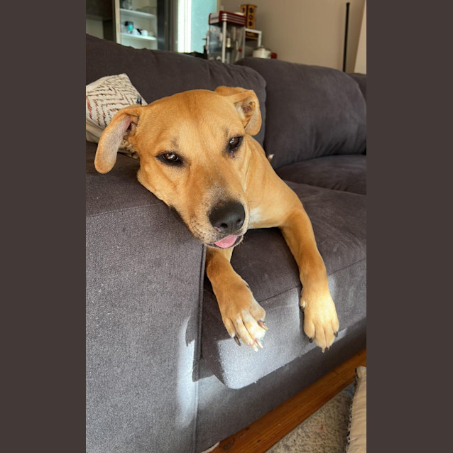 Photo of Lily 