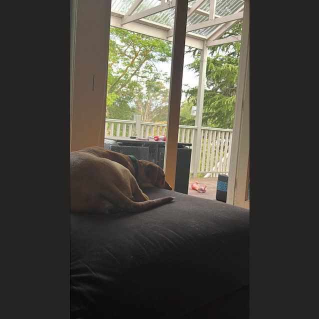 Photo of Lily 