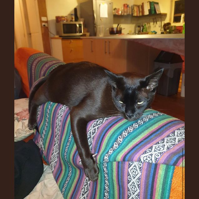 Photo of William & Morris 