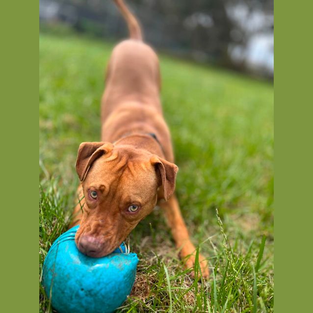 Photo of 💣 Skipper C04562 💣