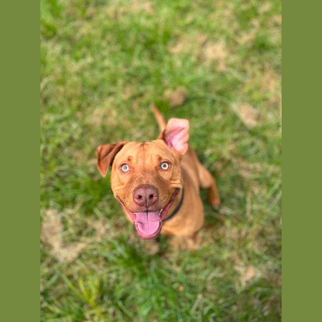 Photo of 💣 Skipper C04562 💣