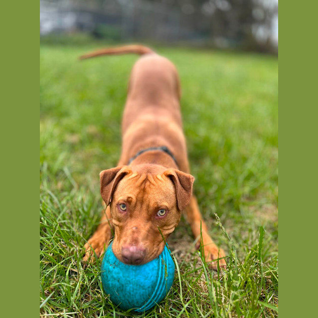 Photo of 💣 Skipper C04562 💣