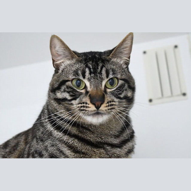 Photo of Byron 10999