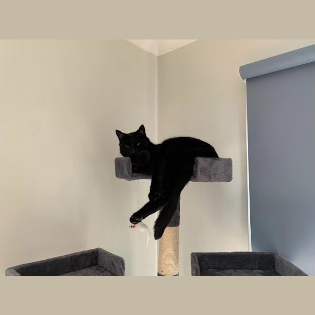 Photo of Charlie