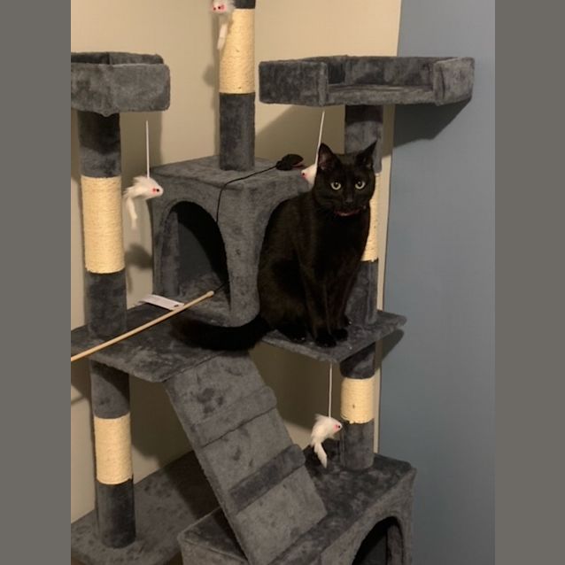 Photo of Charlie