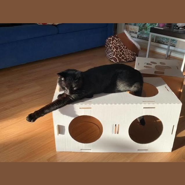 Photo of Charlie