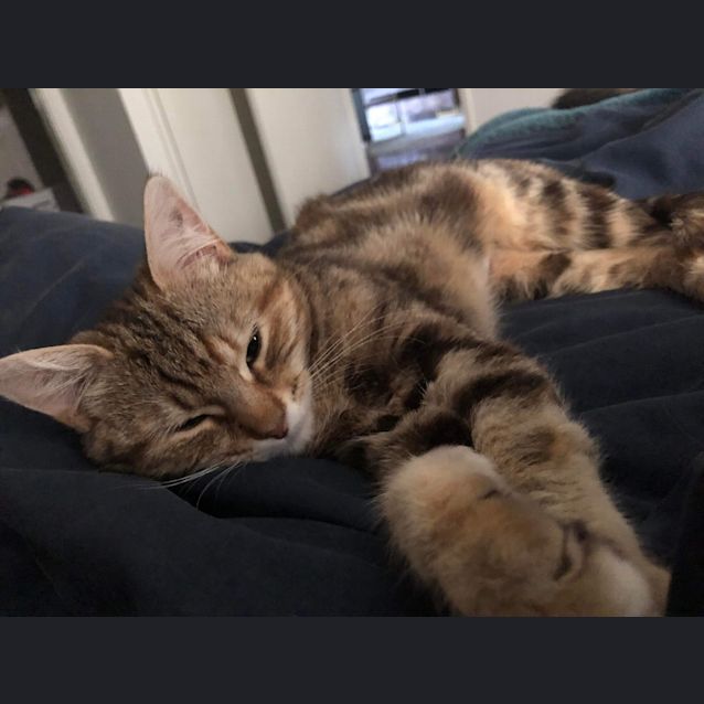 Photo of Bumble