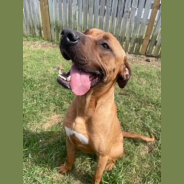Photo of Ace