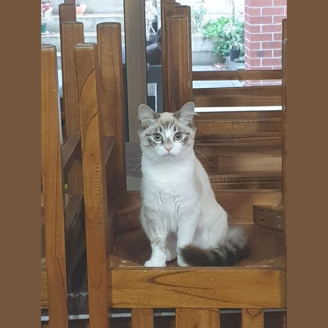 Photo of Mystique
