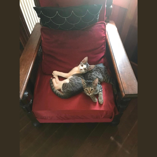 Photo of Lord Leopold