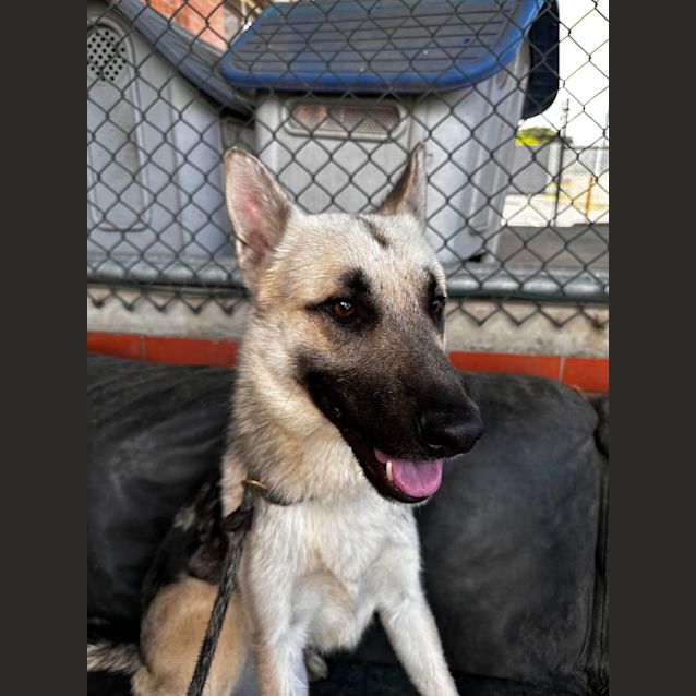 Photo of Duke