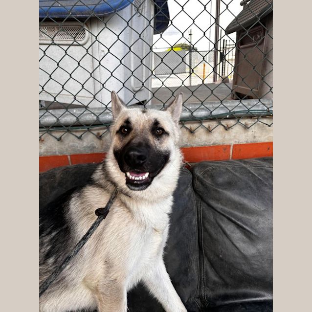 Photo of Duke