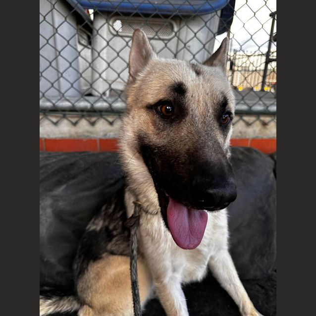 Photo of Duke
