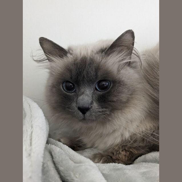 Photo of 💞David F02643💞