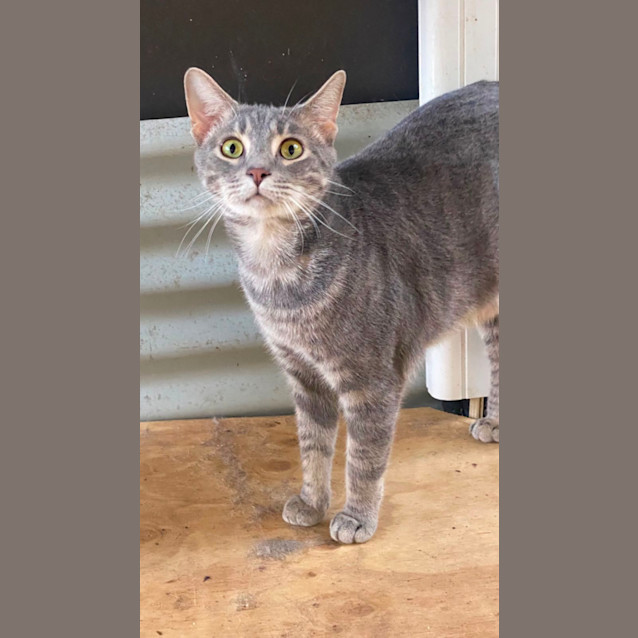 Photo of Fergus 